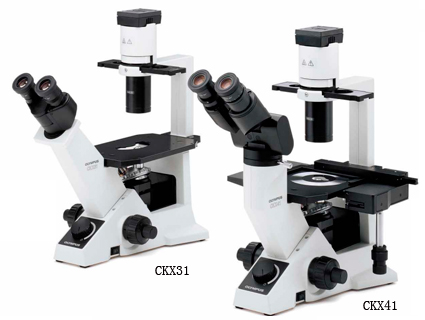 奧林巴斯熒光顯微鏡